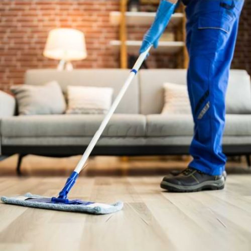 Flooring Services in Temple Terrace, FL